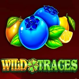 Wild Traces logo by Amusnet Interactive at Blaze Spins Casino